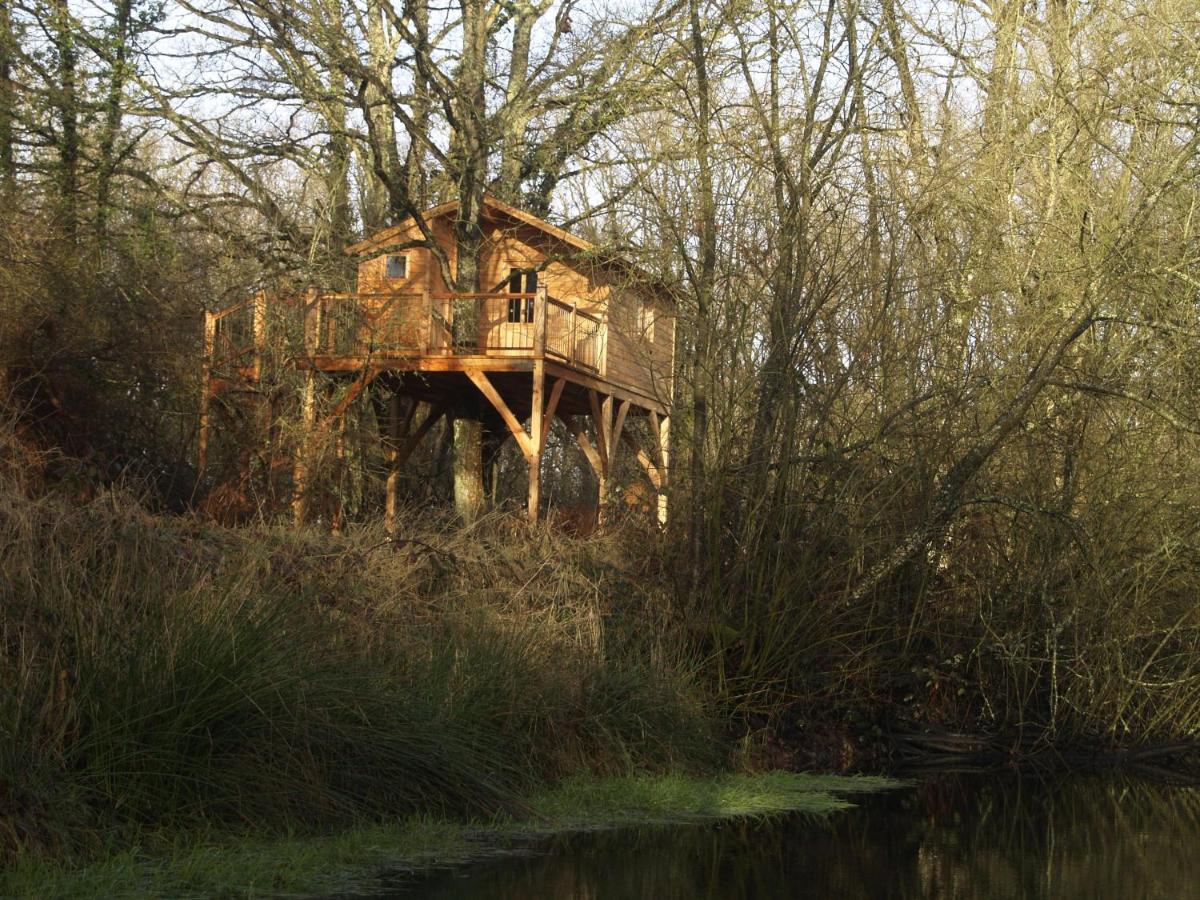 Le Bois Davy Hotel Le Thoureil Bagian luar foto