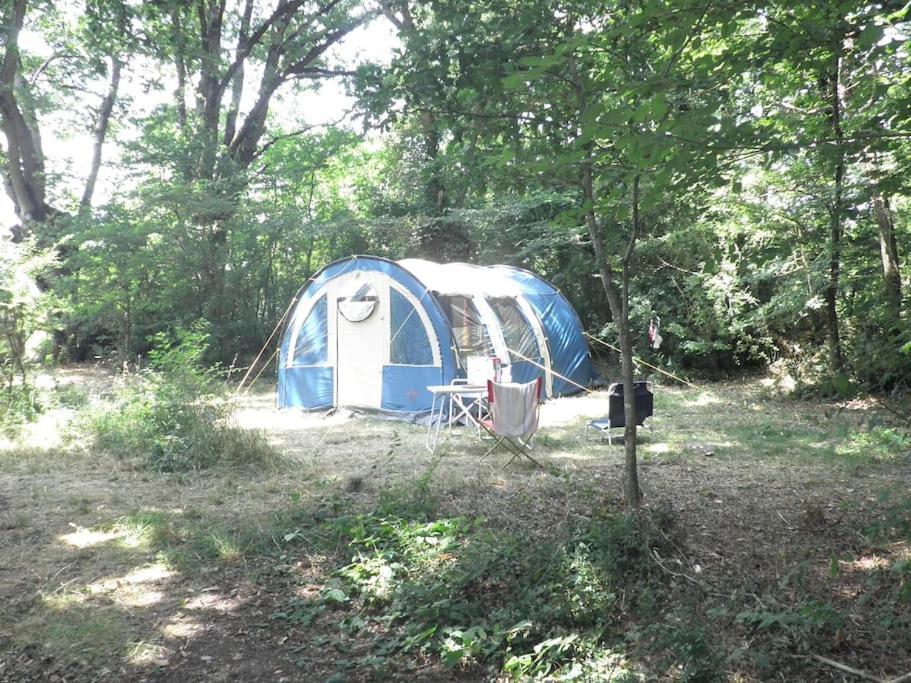 Le Bois Davy Hotel Le Thoureil Bagian luar foto