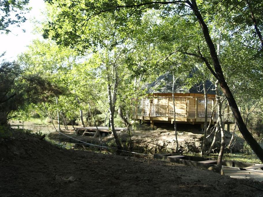 Le Bois Davy Hotel Le Thoureil Bagian luar foto