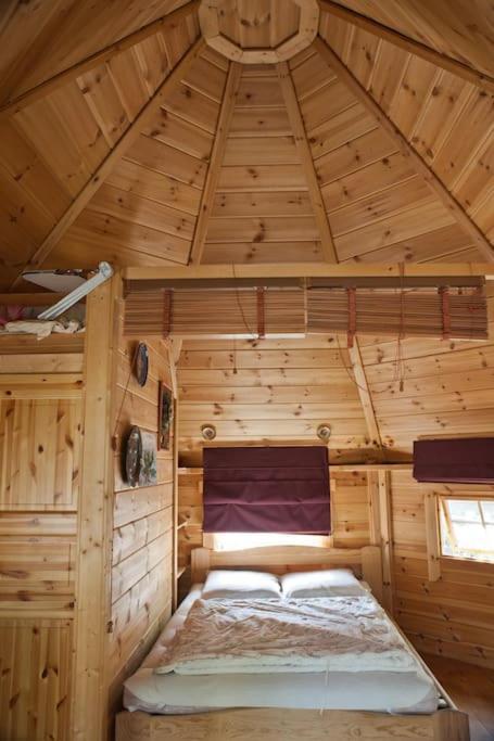 Le Bois Davy Hotel Le Thoureil Bagian luar foto