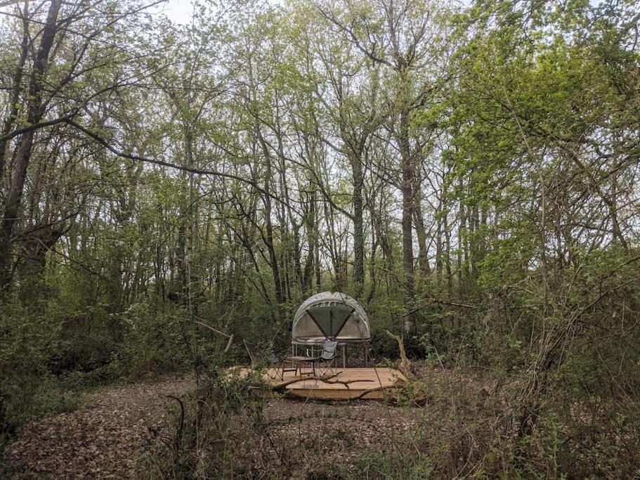 Le Bois Davy Hotel Le Thoureil Bagian luar foto