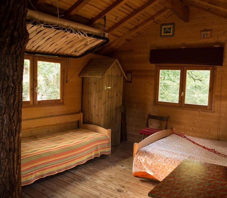 Le Bois Davy Hotel Le Thoureil Bagian luar foto