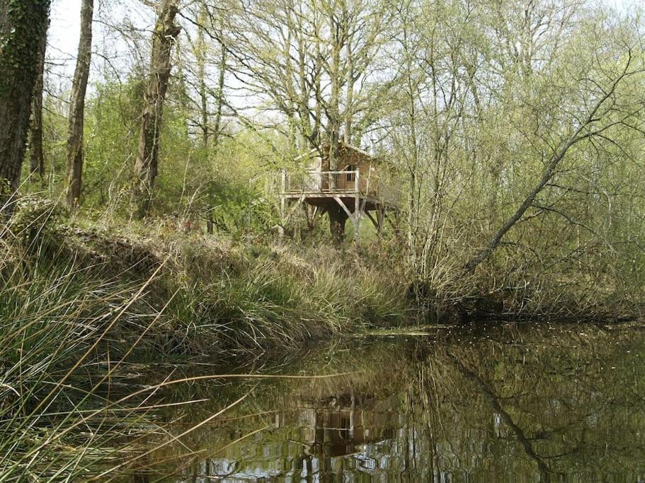 Le Bois Davy Hotel Le Thoureil Bagian luar foto