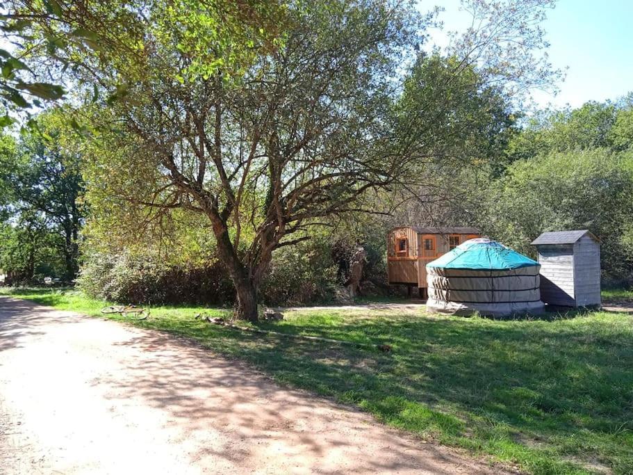 Le Bois Davy Hotel Le Thoureil Bagian luar foto